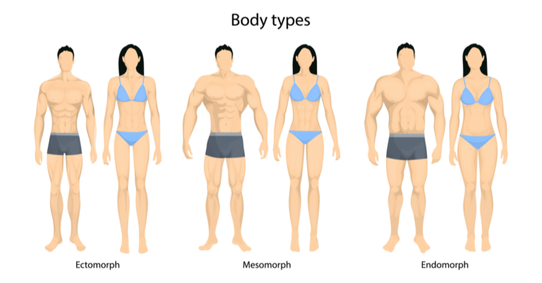 Mesomorph
