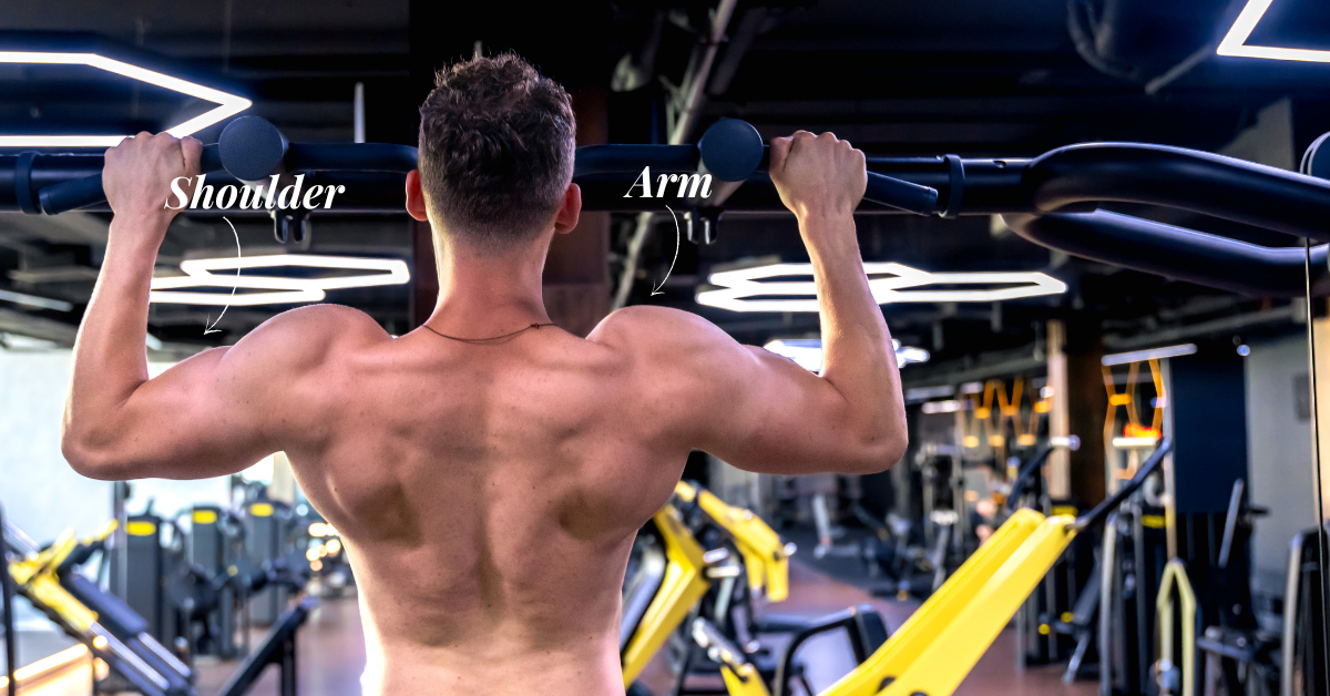 Shoulders and Arms Workout